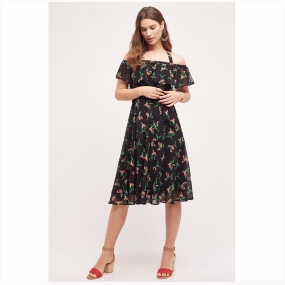 Anthropologie Dresses & Skirts - Vanessa Virginia Anthro Nigella Floral Print Dress